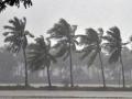 Kerala Rain Forecast: IMD Issues Yellow Alert for Wayanad, Idukki, and Four Other Districts - Hindi News | Kerala Rain Forecast: IMD Issues Yellow Alert for Wayanad, Idukki, and Four Other Districts | Latest national News at Lokmattimes.com
