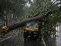 Mumbai Tree Collapse: 15-Year-Old Succumbs A Week After Khar Mishap, Other Victims Remain Critical | Latest mumbai News at www.lokmattimes.com
