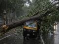 Mumbai Tragedy: Tree Falls on Moving Auto in Khar, Two Critical; Construction Company Booked - Hindi News | Mumbai Tragedy: Tree Falls on Moving Auto in Khar, Two Critical; Construction Company Booked | Latest mumbai News at Lokmattimes.com