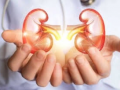 Detecting Kidney and Urinary Tract Disorders With Complete Urine Examination - Hindi News | Detecting Kidney and Urinary Tract Disorders With Complete Urine Examination | Latest health News at Lokmattimes.com