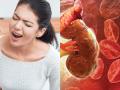 Is This Common Daily Habit Slowly Damaging Your Kidneys, Here's What Expert Say - Hindi News | Is This Common Daily Habit Slowly Damaging Your Kidneys, Here's What Expert Say | Latest health News at Lokmattimes.com