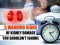 5 Warning Signs of Kidney Damage You Shouldn't Ignore - Hindi News | 5 Warning Signs of Kidney Damage You Shouldn't Ignore | Latest health News at Lokmattimes.com
