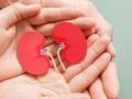 Karnataka Sees Surge in Organ Donations; 5974 Patients Are Still on the Waiting List for Kidney Transplants - Hindi News | Karnataka Sees Surge in Organ Donations; 5974 Patients Are Still on the Waiting List for Kidney Transplants | Latest national News at Lokmattimes.com