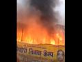 Fire at Prayagraj Magh Mela: Two Tents of Kishori Camp Gutted in Blaze (Watch Video) - Hindi News | Fire at Prayagraj Magh Mela: Two Tents of Kishori Camp Gutted in Blaze (Watch Video) | Latest national News at Lokmattimes.com
