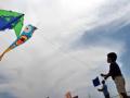 Karnataka Bans Dangerous Glass-Coated Kite Strings to Protect Birds and Humans - Hindi News | Karnataka Bans Dangerous Glass-Coated Kite Strings to Protect Birds and Humans | Latest national News at Lokmattimes.com