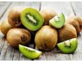 Watch Video! Check out the health benefits of the fruit 'Kiwi' - Hindi News | Watch Video! Check out the health benefits of the fruit 'Kiwi' | Latest health News at Lokmattimes.com