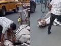 Watch: Man Slaps and Drags Dehydrated Horse on Busy Kolkata Road, FIR Filed After Video Goes Viral - Hindi News | Watch: Man Slaps and Drags Dehydrated Horse on Busy Kolkata Road, FIR Filed After Video Goes Viral | Latest social-viral News at Lokmattimes.com