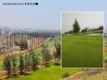 CIDCO Floats Tender for Agency to Manage Operations at Upgraded Kharghar Valley Golf Course - Hindi News | CIDCO Floats Tender for Agency to Manage Operations at Upgraded Kharghar Valley Golf Course | Latest navi-mumbai News at Lokmattimes.com