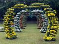 Based on the theme of I-Day the vibrant flower show of Bengaluru kicks off with zeal - Hindi News | Based on the theme of I-Day the vibrant flower show of Bengaluru kicks off with zeal | Latest national News at Lokmattimes.com