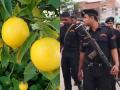Bihar Shocker: Minor Killed After Plucking Lemon From Neighbour’s Tree in Nalanda - Hindi News | Bihar Shocker: Minor Killed After Plucking Lemon From Neighbour’s Tree in Nalanda | Latest mumbai News at Lokmattimes.com