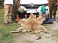 Mumbai DRI Seizes Two Leopard Skins in Inter-State Operation, Four Held - Hindi News | Mumbai DRI Seizes Two Leopard Skins in Inter-State Operation, Four Held | Latest mumbai News at Lokmattimes.com