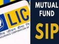 SIP vs LIC: Where Should You Invest ₹50,000 Per Year? - Hindi News | SIP vs LIC: Where Should You Invest ₹50,000 Per Year? | Latest business News at Lokmattimes.com