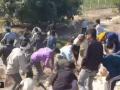 UP Road Accident: Locals Loot Chickens After Pickup Truck Overturns on Kannauj Expressway; Video Goes Viral - Hindi News | UP Road Accident: Locals Loot Chickens After Pickup Truck Overturns on Kannauj Expressway; Video Goes Viral | Latest social-viral News at Lokmattimes.com