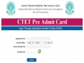 CBSE CTET Pre-Admit Card 2024 Out at ctet.nic.in – Check Details Here - Hindi News | CBSE CTET Pre-Admit Card 2024 Out at ctet.nic.in – Check Details Here | Latest education News at Lokmattimes.com