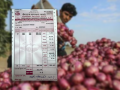 Maharashtra farmer gets Rs. 71 for 773 kg onions, faces major losses - Hindi News | Maharashtra farmer gets Rs. 71 for 773 kg onions, faces major losses | Latest maharashtra News at Lokmattimes.com