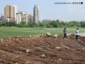 Navi Mumbai: Centre Steps In to Protect Lotus Lake After NatConnect Complaint - Hindi News | Navi Mumbai: Centre Steps In to Protect Lotus Lake After NatConnect Complaint | Latest navi-mumbai News at Lokmattimes.com