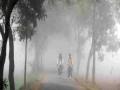 Maharashtra Winter Forecast: IMD Predicts Cold Wave Conditions from January 3-7 - Hindi News | Maharashtra Winter Forecast: IMD Predicts Cold Wave Conditions from January 3-7 | Latest maharashtra News at Lokmattimes.com