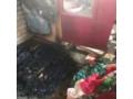 Nashik: Farmer loses cash of Rs 2 lakh after house catches fire - Hindi News | Nashik: Farmer loses cash of Rs 2 lakh after house catches fire | Latest maharashtra News at Lokmattimes.com