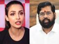 Malaika Arora Expresses Outrage Over Viral Pet Beating Video, Tags CM Eknath Shinde - Hindi News | Malaika Arora Expresses Outrage Over Viral Pet Beating Video, Tags CM Eknath Shinde | Latest entertainment News at Lokmattimes.com