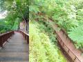 Mumbai’s First Elevated Nature Trail at Malabar Hill to Open on April 30, Details inside - Hindi News | Mumbai’s First Elevated Nature Trail at Malabar Hill to Open on April 30, Details inside | Latest mumbai News at Lokmattimes.com