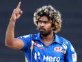 Lasith Malinga to Suresh Raina: Cricketers who will skip IPL 2020 in UAE - Hindi News | Lasith Malinga to Suresh Raina: Cricketers who will skip IPL 2020 in UAE | Latest cricket Photos at Lokmattimes.com