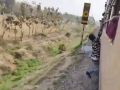 Viral Video Shows Man Hanging from Moving Train While Attempting Dangerous Stunt, Rescued by Passengers (Watch) - Hindi News | Viral Video Shows Man Hanging from Moving Train While Attempting Dangerous Stunt, Rescued by Passengers (Watch) | Latest national News at Lokmattimes.com