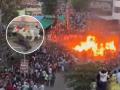 Karnataka: Two Injured After Bulls Run Into Raging Fire During Makar Sankranti Ritual in Mandya (Watch Video) - Hindi News | Karnataka: Two Injured After Bulls Run Into Raging Fire During Makar Sankranti Ritual in Mandya (Watch Video) | Latest national News at Lokmattimes.com