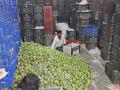 Maharashtra’s Hapus Mango Season Shortened as Early Monsoon Hits Production - Hindi News | Maharashtra’s Hapus Mango Season Shortened as Early Monsoon Hits Production | Latest maharashtra News at Lokmattimes.com