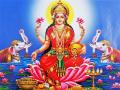 Margashirsha Guruvar Vrat 2024: Date, Puja Vidhi, Rituals and Significance of Mahalakshmi Vrat - Hindi News | Margashirsha Guruvar Vrat 2024: Date, Puja Vidhi, Rituals and Significance of Mahalakshmi Vrat | Latest lifestyle News at Lokmattimes.com