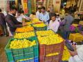 Dussehra 2024: Marigold (Zendu) Flower Prices Surge to Rs 80–100 per Kg - Hindi News | Dussehra 2024: Marigold (Zendu) Flower Prices Surge to Rs 80–100 per Kg | Latest maharashtra News at Lokmattimes.com