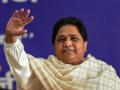 Mayawati Dismisses Alliance Rumors, Says BSP To Go Solo in Lok Sabha Polls - Hindi News | Mayawati Dismisses Alliance Rumors, Says BSP To Go Solo in Lok Sabha Polls | Latest national News at Lokmattimes.com