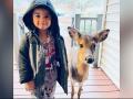 4-year-old brings home baby deer after venturing in the woods for outing - Hindi News | 4-year-old brings home baby deer after venturing in the woods for outing | Latest social-viral News at Lokmattimes.com