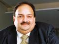 PNB Bank Scam: ED files chargesheet against absconding accused Mehul Choksi and his wife - Hindi News | PNB Bank Scam: ED files chargesheet against absconding accused Mehul Choksi and his wife | Latest business News at Lokmattimes.com
