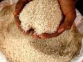 Chhattisgarh govt announces free rice to poor families for next 5 years starting January 2024 - Hindi News | Chhattisgarh govt announces free rice to poor families for next 5 years starting January 2024 | Latest national News at Lokmattimes.com