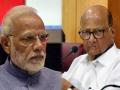 Modi government's time being wasted in dividing opposition party: NCP - Hindi News | Modi government's time being wasted in dividing opposition party: NCP | Latest maharashtra News at Lokmattimes.com