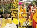 Monkey Unexpectedly Enters Haldi Ceremony and Steals Laddoos from Wedding Guests; Video Surfaces (Watch) - Hindi News | Monkey Unexpectedly Enters Haldi Ceremony and Steals Laddoos from Wedding Guests; Video Surfaces (Watch) | Latest social-viral News at Lokmattimes.com
