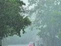 India Monsoon 2025 Update: 'Forecast Shows No El Niño Threat,' Says IMD - Hindi News | India Monsoon 2025 Update: 'Forecast Shows No El Niño Threat,' Says IMD | Latest national News at Lokmattimes.com
