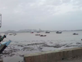 Mora-Mumbai Ferry Services Hit by Frequent Disruptions Due to Silt Accumulation - Hindi News | Mora-Mumbai Ferry Services Hit by Frequent Disruptions Due to Silt Accumulation | Latest mumbai News at Lokmattimes.com
