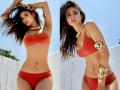 Mouni Roy exudes hotness in her new bikini photoshoot - Hindi News | Mouni Roy exudes hotness in her new bikini photoshoot | Latest entertainment Photos at Lokmattimes.com