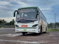 MSRTC Boosts Electric Operations in Pune, Announces 134 New Buses in Two Months - Hindi News | MSRTC Boosts Electric Operations in Pune, Announces 134 New Buses in Two Months | Latest pune News at Lokmattimes.com