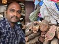 Mumbai: 45-Year-Old Man Dies After Banyan Tree Falls on Him in Worli; Residents Allege BMC Neglect - Hindi News | Mumbai: 45-Year-Old Man Dies After Banyan Tree Falls on Him in Worli; Residents Allege BMC Neglect | Latest mumbai News at Lokmattimes.com