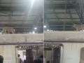 Stray Dog Electrocuted on CSMT Train Roof, Causing Passenger Inconvenience and Delays During Office Hours (Watch Video) - Hindi News | Stray Dog Electrocuted on CSMT Train Roof, Causing Passenger Inconvenience and Delays During Office Hours (Watch Video) | Latest mumbai News at Lokmattimes.com