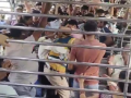Mumbai Local Train Fight: Brawl Erupts Between Passengers on Moving Virar-Dahanu Local Over Boarding Dispute; Video Goes Viral - Hindi News | Mumbai Local Train Fight: Brawl Erupts Between Passengers on Moving Virar-Dahanu Local Over Boarding Dispute; Video Goes Viral | Latest mumbai News at Lokmattimes.com