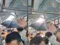Mumbai Local: Viral Pic Shows Commuter Holding Open Umbrella in Crowded AC Coach, Internet Amused - Hindi News | Mumbai Local: Viral Pic Shows Commuter Holding Open Umbrella in Crowded AC Coach, Internet Amused | Latest mumbai News at Lokmattimes.com