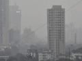 Mumbai: Here are new initiatives taken by Maharashtra govt to improve air quality - Hindi News | Mumbai: Here are new initiatives taken by Maharashtra govt to improve air quality | Latest maharashtra News at Lokmattimes.com
