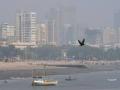 Mumbai Air Pollution: Environmental Experts Call for Permanent Measures to Avoid Delhi-Like Situation - Hindi News | Mumbai Air Pollution: Environmental Experts Call for Permanent Measures to Avoid Delhi-Like Situation | Latest mumbai News at Lokmattimes.com