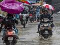Maharashtra: IMD issues yellow alert, predicts heavy rainfall for 2 days - Hindi News | Maharashtra: IMD issues yellow alert, predicts heavy rainfall for 2 days | Latest maharashtra News at Lokmattimes.com
