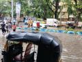 Mumbai Rains: IMD Issues Yellow Alert for July 9 as Financial Capital Expected to Receive Heavy Rainfall in Next 24 Hours - Hindi News | Mumbai Rains: IMD Issues Yellow Alert for July 9 as Financial Capital Expected to Receive Heavy Rainfall in Next 24 Hours | Latest mumbai News at Lokmattimes.com