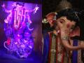 Mumbaicha Raja 2024 First Look: Ganeshgalli Ganpati Idol Revealed See Photos and Video - Hindi News | Mumbaicha Raja 2024 First Look: Ganeshgalli Ganpati Idol Revealed See Photos and Video | Latest mumbai News at Lokmattimes.com