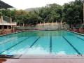 25-Year-Old Bhiwandi Man Dies After Head Injury in Virar Resort Pool - Hindi News | 25-Year-Old Bhiwandi Man Dies After Head Injury in Virar Resort Pool | Latest mumbai News at Lokmattimes.com